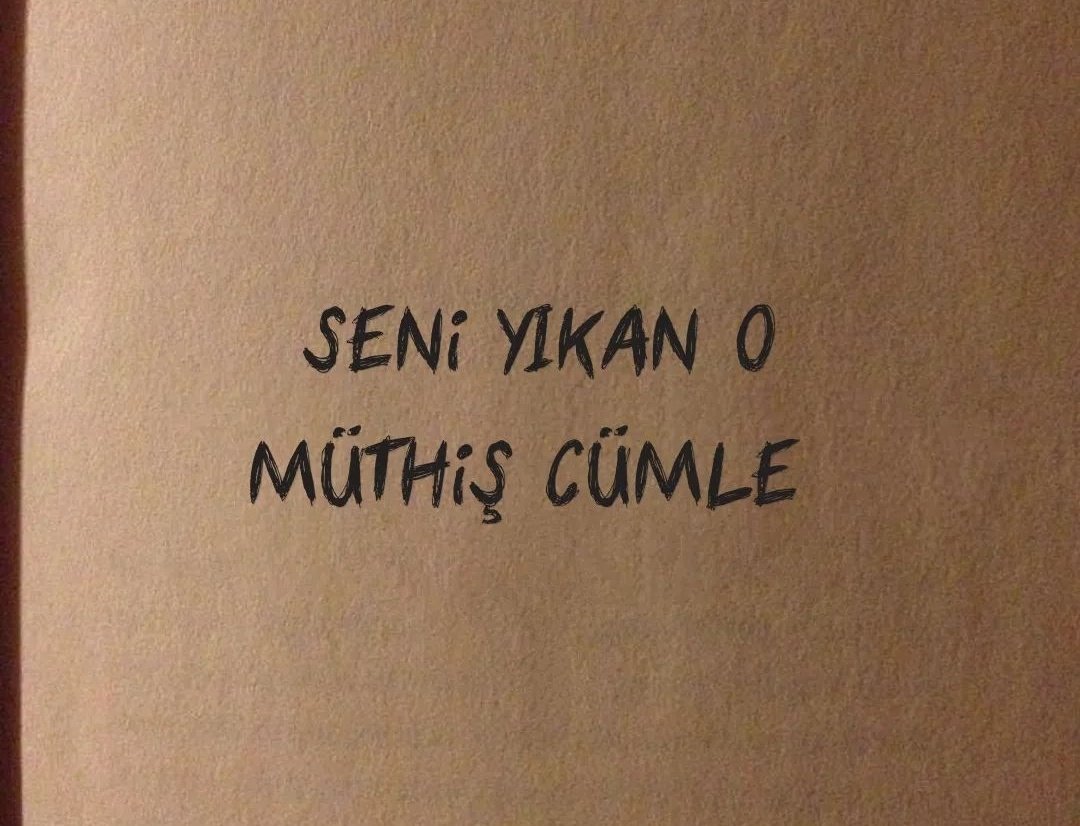 ŞEHO𝕏 tweet media