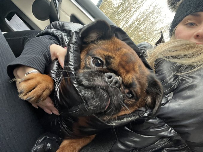 stay safe on road https://t.co/etxfJJPqIS<a href="/tag/mensmentalhealth"class="tags"><span>#mensmentalhealth</span></a>