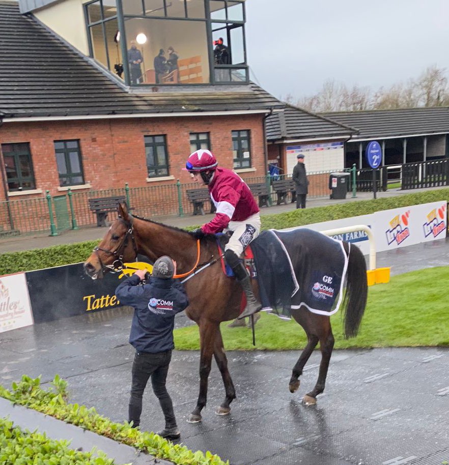 Dawnesme's tweet photo. Très Magnifique 😍🤌🏻
Jalon D'oudairies bumper beaut @Fairyhouse 🏇🏇
Hon the duck @HarrySwan15 👏👏
#bumperwatch https://t.co/e8Ed1mHNpJ