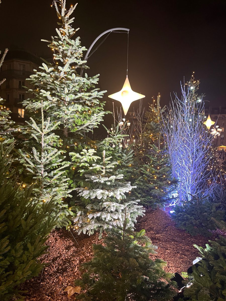 Offre Bons cadeau de Noël en ligne !
Personnalisez vos bons à offrir ou choisissez la formule à télécharger en dernière minute ! Massage Kobido, shiatsu, hypnose, drainage lymphatique Renata França, cryothérapie, madérothérapie et plus encore ! odelia-nature.fr/bons-cadeaux-o…