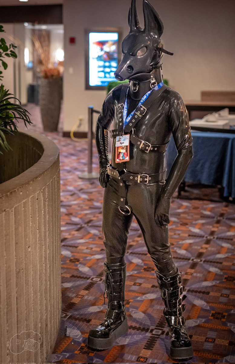 BigSoftSnep's tweet photo. Various latex getups from last night at #MFF2023. So much more common here then it is at Australian cons. https://t.co/1kySxR7Lo5