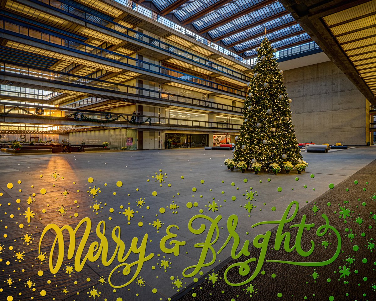 PDantPhoto's tweet image. 'Tis the Season 📷
#njphotographer