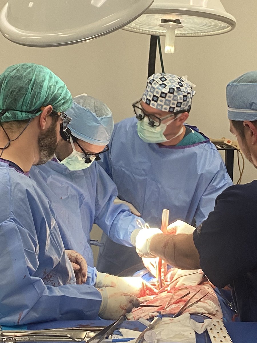 Thomas Caranasos tweet media