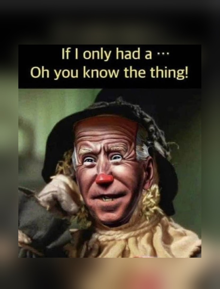 'If I only had a brain.' The scarecrow from The Wizard of Oz was better in every way. #LyingBiden #PUPPETSHOW