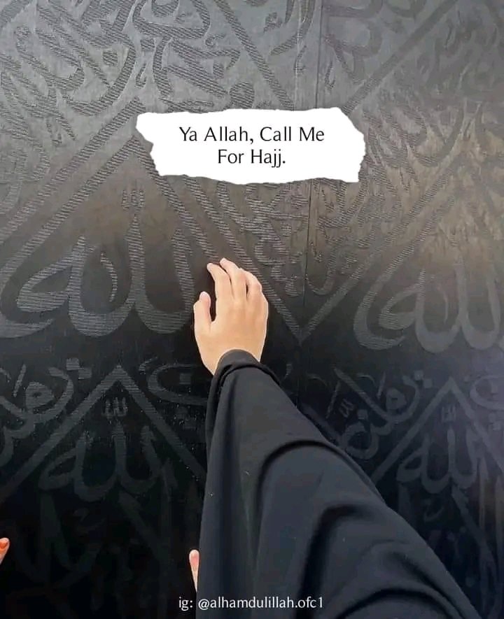 lamma_malam's tweet photo. https://t.co/nAKmYvmiXg