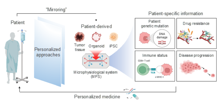 organoidscience's tweet photo. Zoom out and take a look at the bigger picture with this weekend's review!
Authors detail the significance of patient-derived #microphysiological systems for precision medicine, including #organoids, #microfluidic devices & more.
📑 @AdvSciNews | https://t.co/rnfLI56uCk https://t.co/KpapLtYBIH