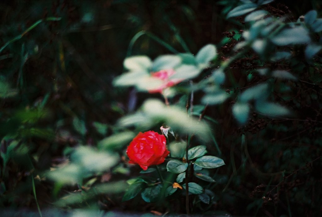 officesevenn's tweet image. 