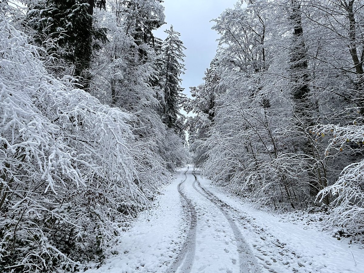 LuetzeTransport's tweet photo. Winterliche Grüße zum ersten Advent 🎄❄️ https://t.co/HRn7zWHYwp