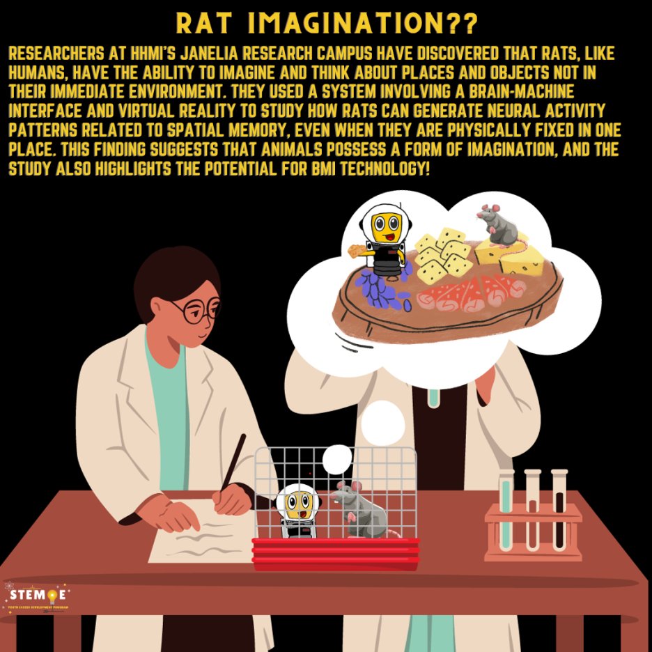 steme_ycdp's tweet image. Scientists at HHMI's Janelia Research Campus found that rats, like us, have an imagination!?
steme.org
#Rats #CognitiveResearch #BrainMachineInterface #MindPower #Imagination