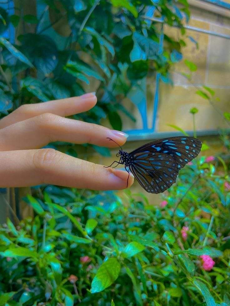 :بآجر الآيـآم تحله وآلفرح يـترس حجيـنه ..