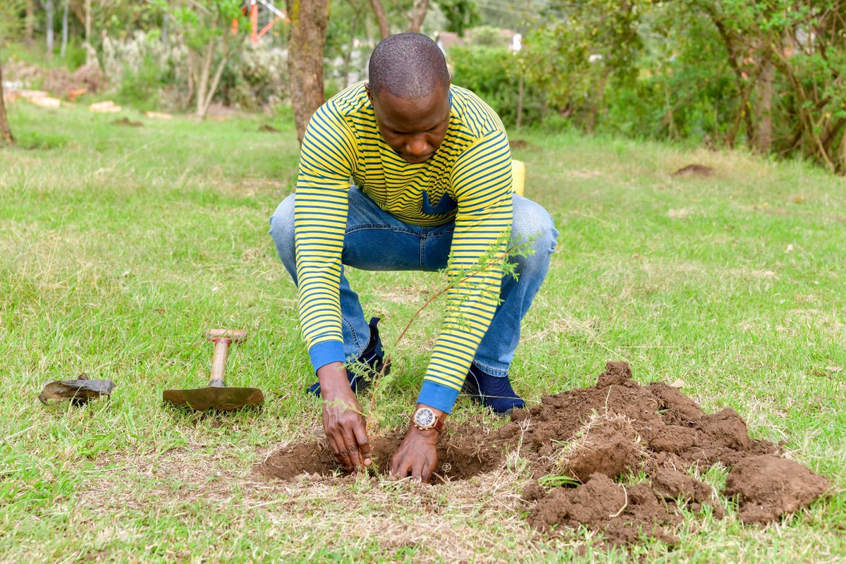 KenGenKenya's tweet photo. Golf and green go hand in hand at KenGen.
Today, as part of our commitment to mitigating climate change, #TeamKenGen takes a swing at sustainability by donating 5,000 tree seedlings at the Nakuru Golf Club.
Together, we're teeing up a greener future! #KenGenTeeOff ^TK https://t.co/zJAUjDRp8B