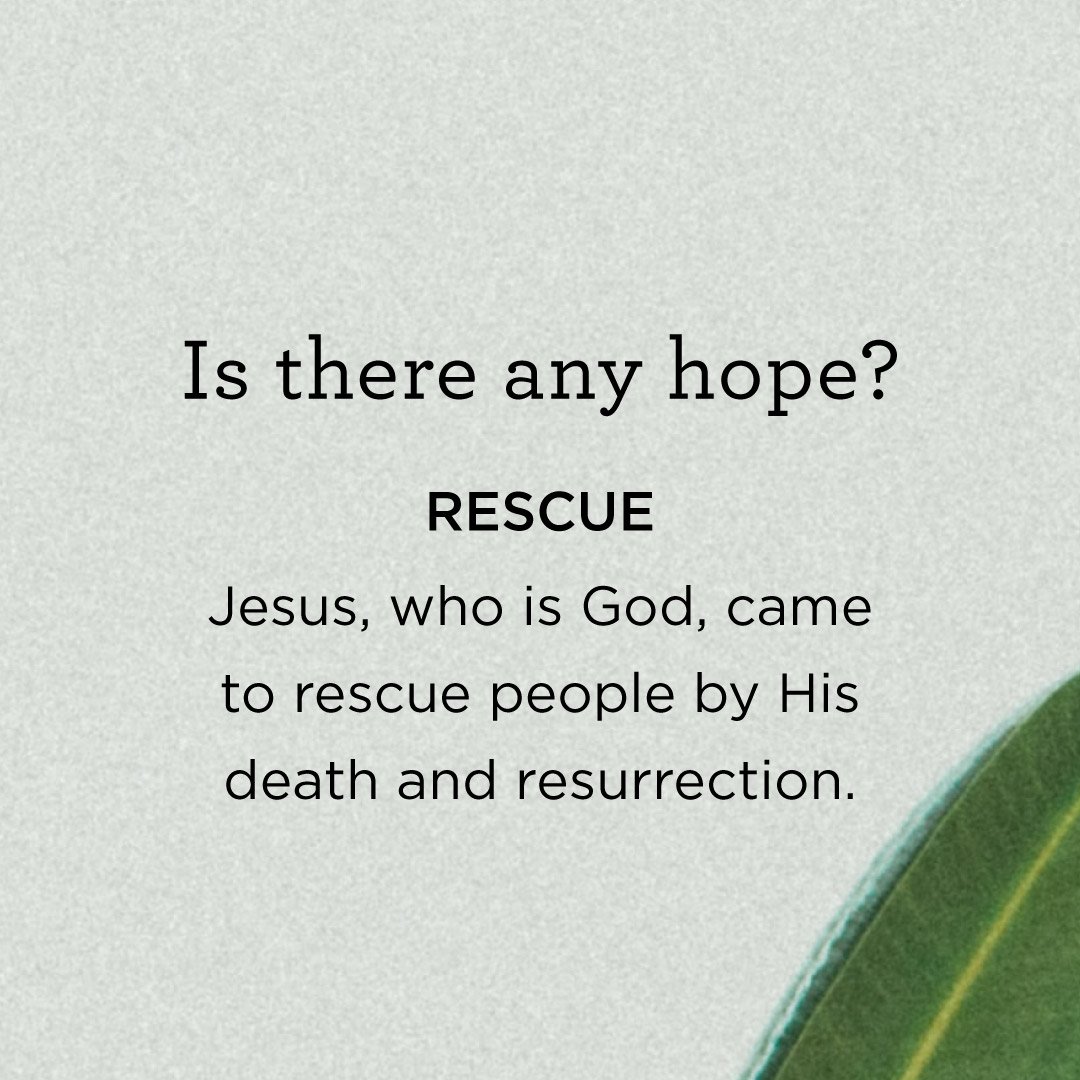 AlistairBegg's tweet photo. We're instructed in the Gospels to share the good news of salvation with others. Sometimes that can be intimidating! But it's easy when you give this small booklet to others as a way of introducing them to Jesus. Purchase copies for just $0.50 each at https://t.co/n7H6WWdN12 https://t.co/URA2odKDik