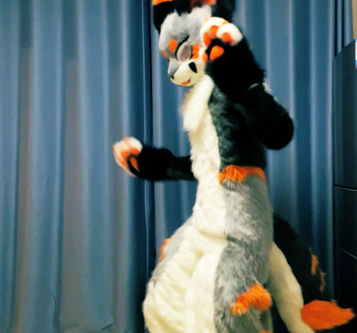 偷个闲！全装了！！😆😆😋😋