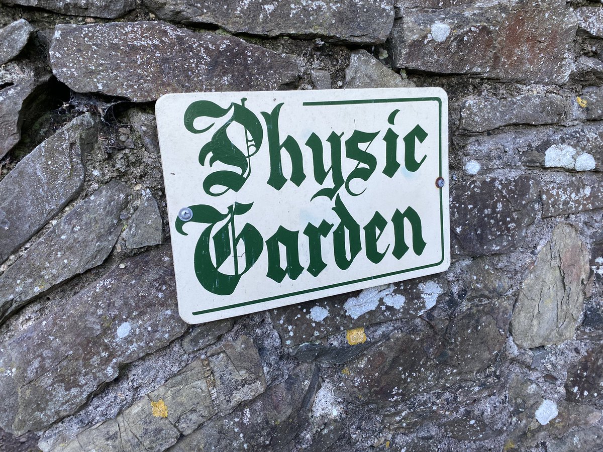 A few photos of a very cold Physic Garden that I visited this afternoon