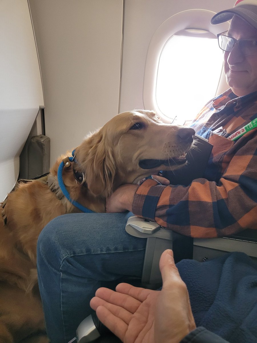 DienHo86's tweet photo. People &amp; Dog 🐕 on first-class ✈️ this morning from Dallas,  TX to Santa Ana, CA. https://t.co/7z2CDSxe98