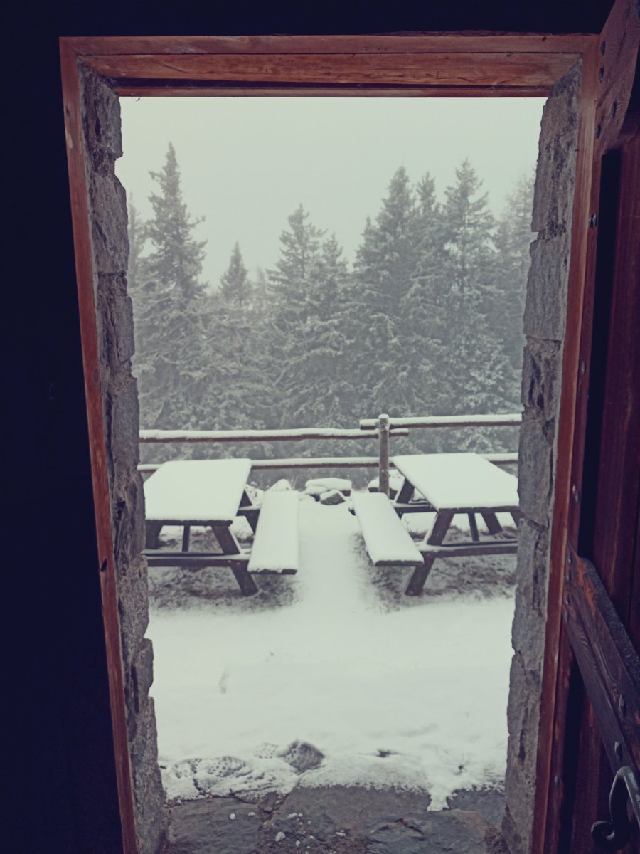 lubon72's tweet photo. Due passi a Saviore dell'Adamello, oggi a malga Casentia (1.850 m). 
Dopo le intense piogge della notte (con danni in tutta l'alta valle) stamattina è tornata la neve https://t.co/MP1njIcwiX