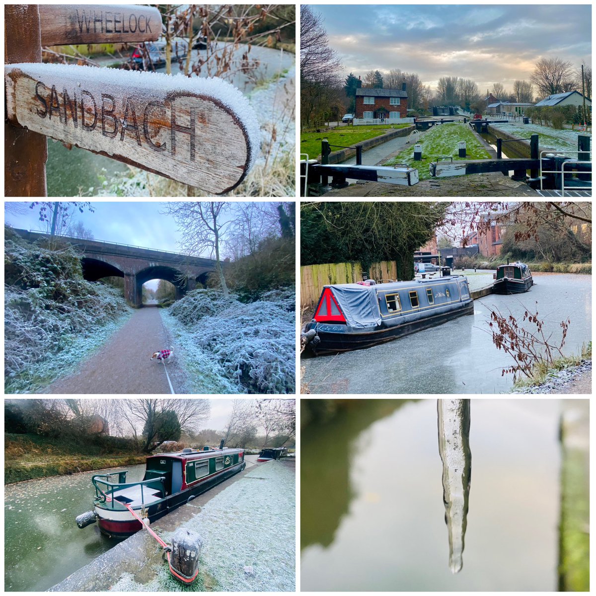 Gareth Knowles tweet media