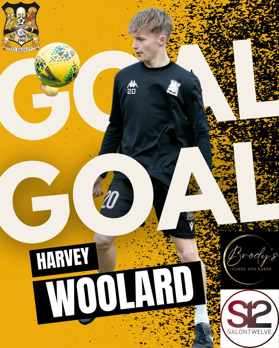 ThreeBridgesFC's tweet photo. GOAL: Sevenoaks Town 2-2 THREE BRIDGES - Harvey Woollard (70') #IsthmianLeague https://t.co/6L4L2dsmk8