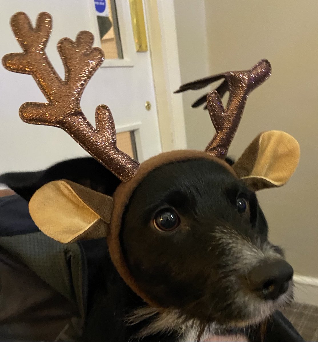 Boarding tweet media