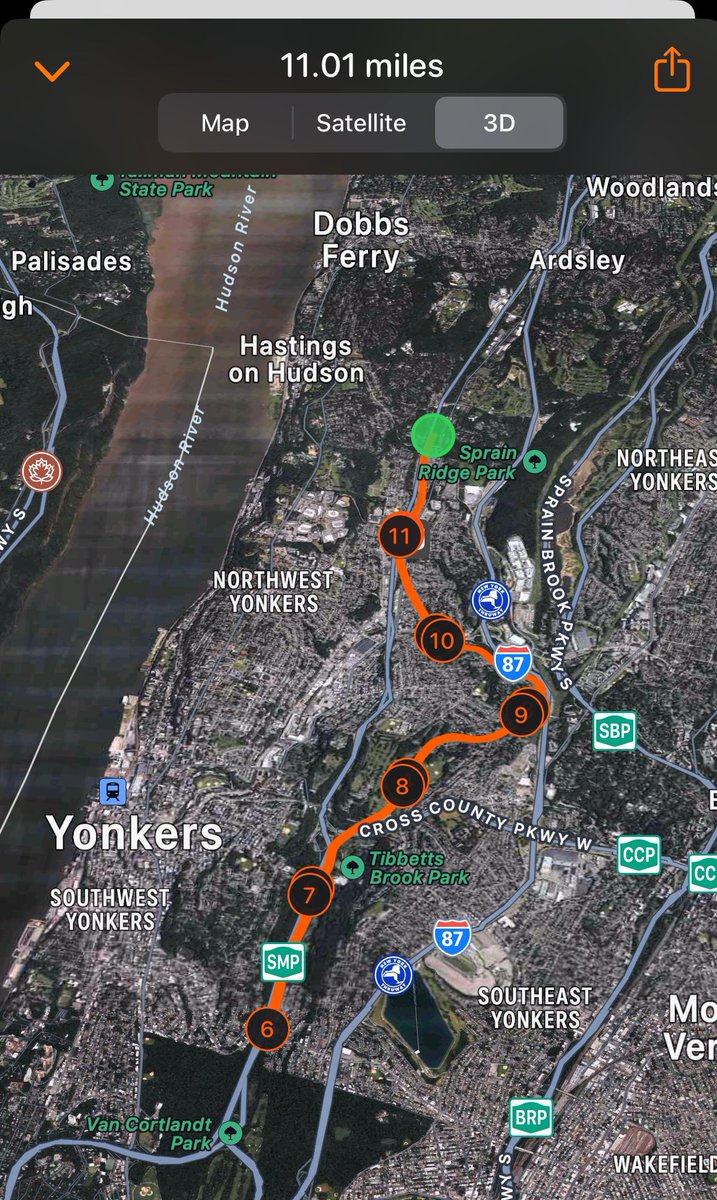 December &amp; &gt;55F weather in NY —&gt; fun run!