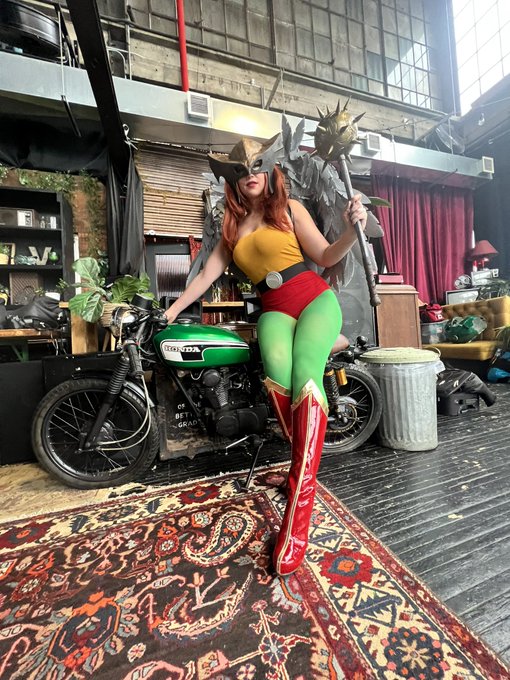 Hawkgirl build. My first big build. Top, wings and mask by me (with fine tuning from Battle Damage Props)