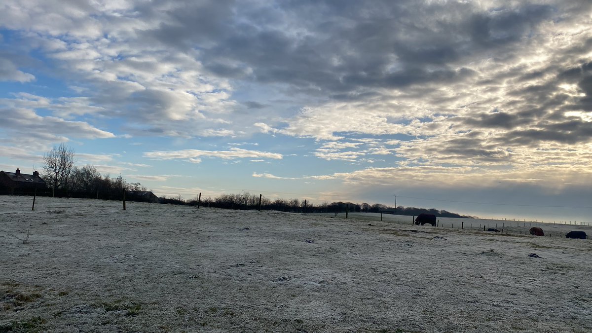 joymarie_h's tweet photo. #December2023 #Decemberwalks #colddays #almostwinter #horsephotography #winterskys https://t.co/jBqZWvU9p1