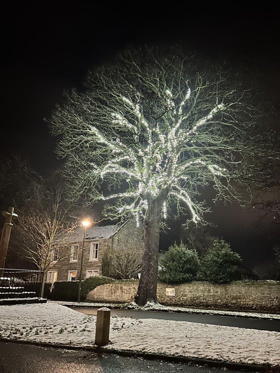 One of the trees lit in my village .. stunning and no filters involved