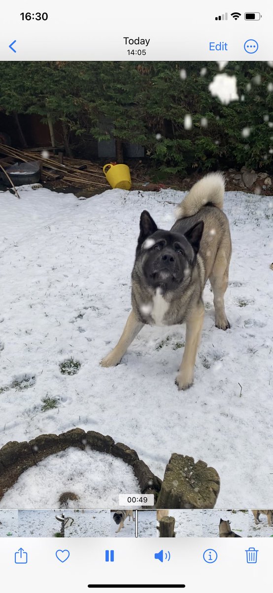 chartait73's tweet photo. A bit of fun in the snow ❄️😍 https://t.co/xqcsYyKN9s