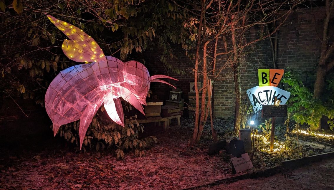 On Day 2 of <a href="/OUTSIDE_arts/">OUTSIDEarts</a> 24 Doors we co created a light trail with the team at John Hall Gardens! #24doors