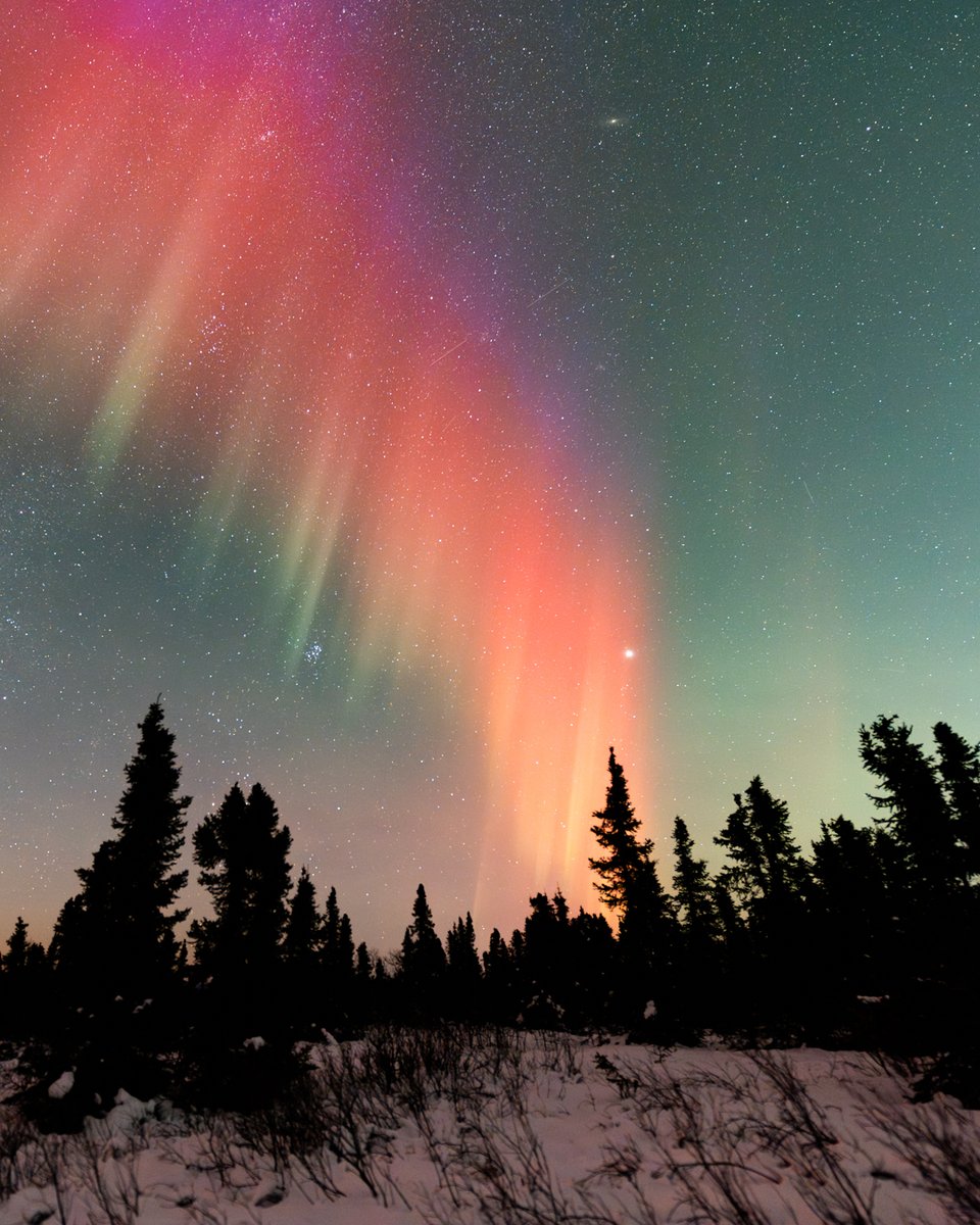 Vincent_Ledvina's tweet photo. The color of the aurora was magical last night in Fairbanks, Alaska! Deep reds, purples, and blues that were quite the rare sight. Usually, auroras are green, but not last night!

(4x5 crop) https://t.co/mupHRIbiP8