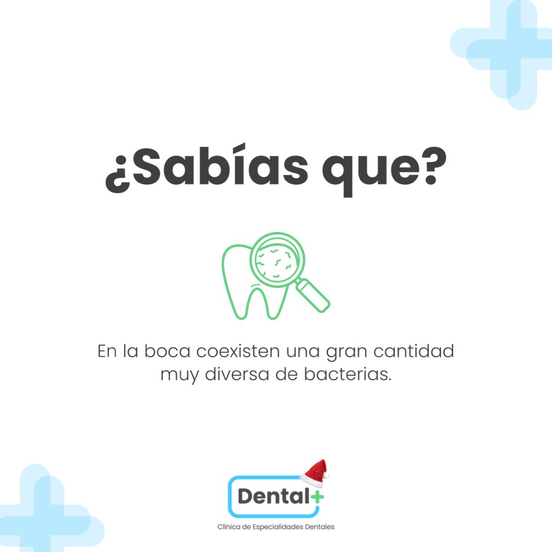 cdphnd's tweet photo. 🫶🏻¡Nuestro enfoque es salvar tu sonrisa y salud bucal sin dolor! 

📝Agenda tu cita con nosotros hoy

📍Plaza Ciudad Nueva (1min luego del semáforo de Los Robles).

📲9786-1256

#DentalPlus #Honduras #Odontólogo #VuelveASonreír #CuidaTuSonrisa #HigieneBucal #PlazaCiudadNueva https://t.co/G6XFerHFZp