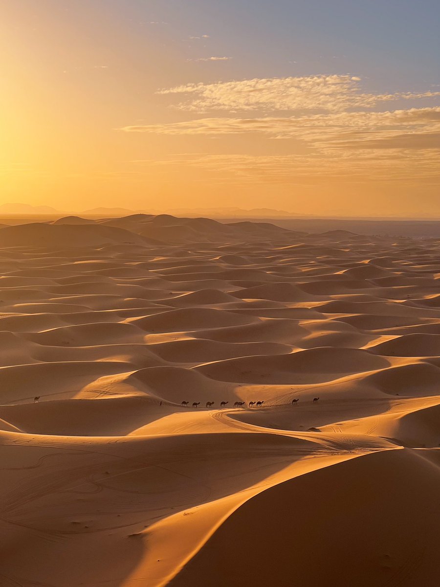 Forever mesmerised by the golden horizons of the Great Sahara Desert 
✨
Journey with us through the land where tales unfold 💫

thealternativemorocco.com

#Morocco #desert #authentictravel #traveldeeper #travel #supportlocal #ecotravel #ethicaltravel #sahara #uniquetravel #journey