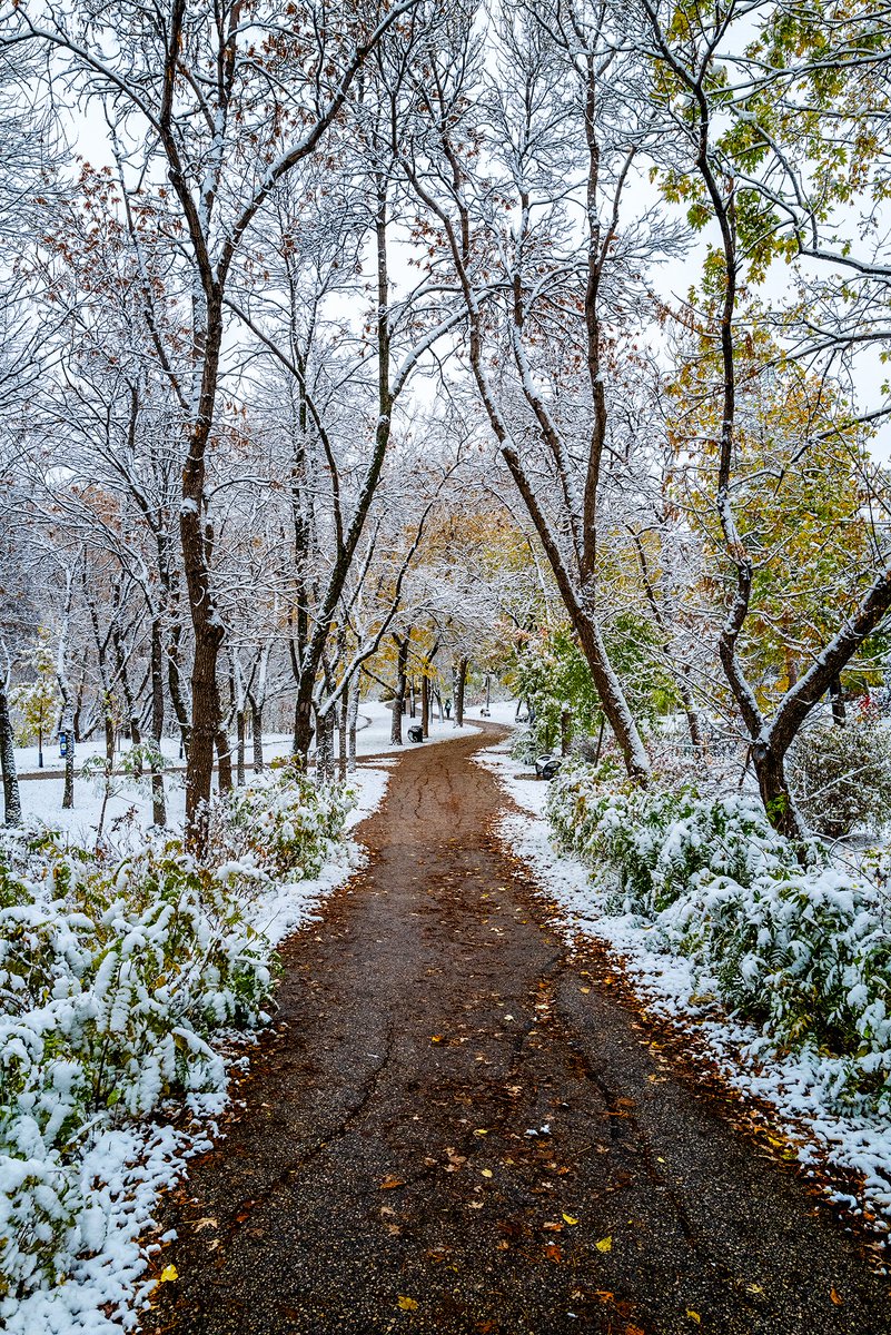 Michael Pratt tweet media