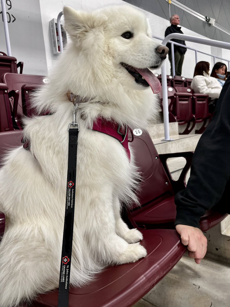 hms_kent's tweet photo. Thank you @SMUHuskies for being amazing hosts to KENT, letting us meet the players and go onto the ice ❄️
Final score 3-2 #GoHuskies, commiserations @UPEIPanthers https://t.co/l2LxjdWX82