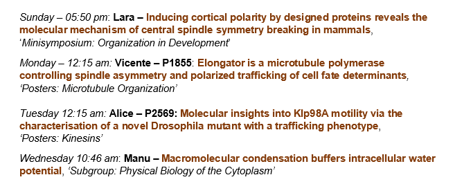 The Derivery lab is at ASCB Cell Bio! If you are interested in what we are doing: Lara & Manu talk on Sunday 05:50 pm and Wednesday 10:46 am and Vic & Alice have a poster on Monday 12:15 am and Tuesday 12:15 am. #CellBio2023