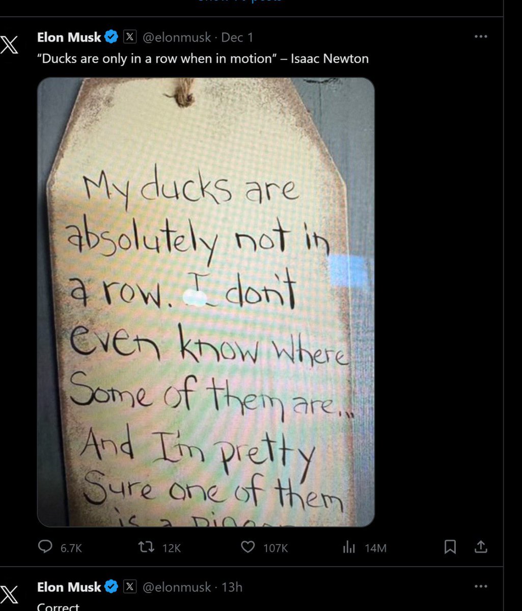 BNB DUCK INU tweet media