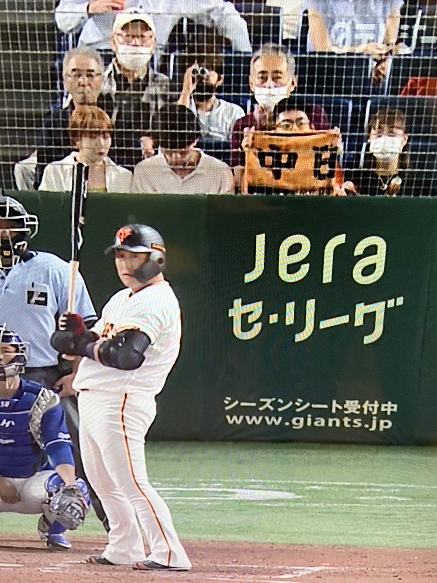 中日ドラゴンズ　ポリネコ様 猫のひたいほどワイド #1498 潜入リポート・瀧澤翼「鎌倉散策の新定番