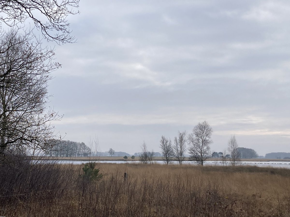 Petraket's tweet image. Aan de wandel in Drenthe dag 1 van Dwingeloo naar Uffelte. Prachtig weer. @anjaprent1970 @Natuurmonument