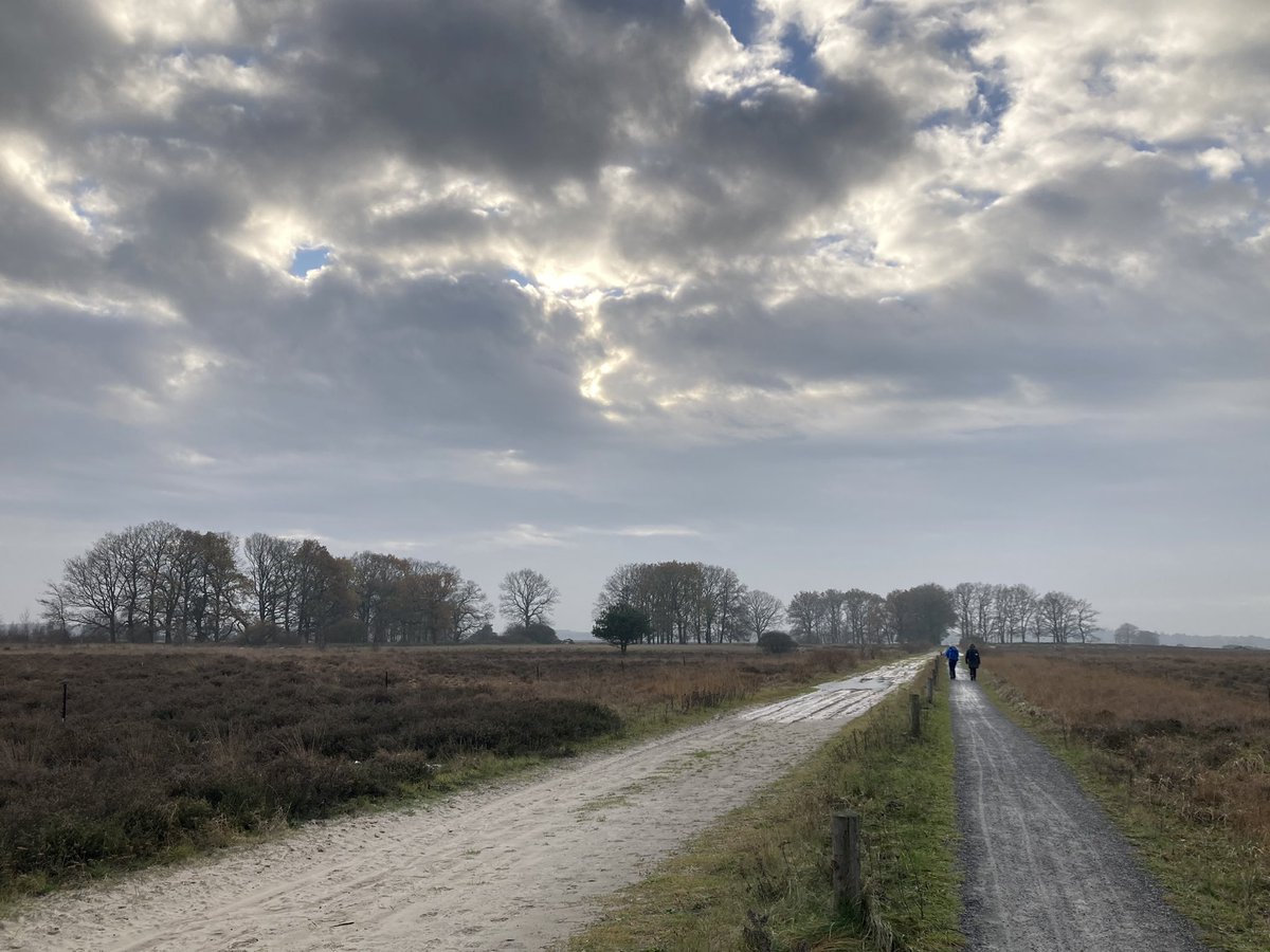Petraket's tweet image. Aan de wandel in Drenthe dag 1 van Dwingeloo naar Uffelte. Prachtig weer. @anjaprent1970 @Natuurmonument