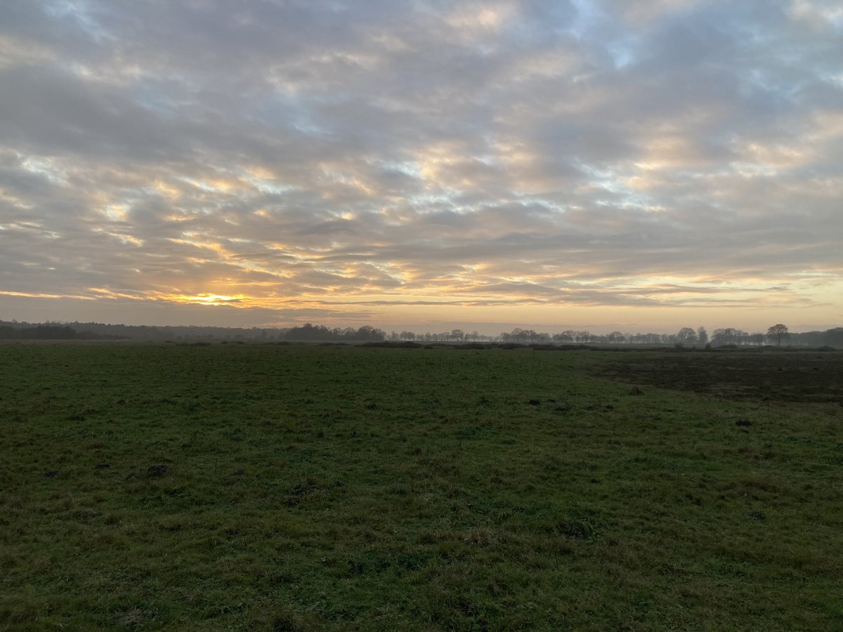 Petraket's tweet image. Aan de wandel in Drenthe dag 1 van Dwingeloo naar Uffelte. Prachtig weer. @anjaprent1970 @Natuurmonument