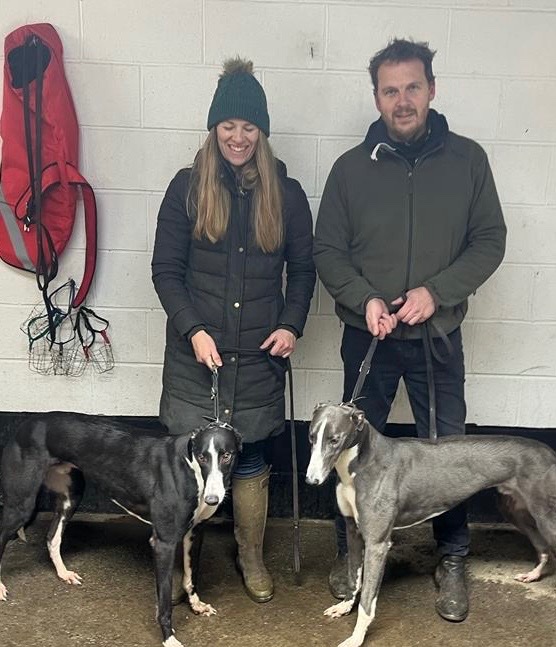 PhilMilner's tweet photo. I can’t tell you how excited we are with this litter. Open race 1st and 3rd on debut, Keefill maverick and goose. They’re from Droopys Additions first litter to hit the track and for unraced pups with 1 4 bend run to do what he did today is very special #homebreds in every way https://t.co/HOTpKbzirz