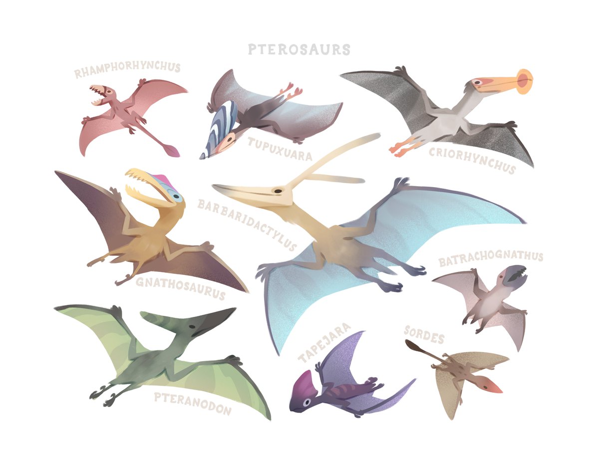 Alex Braun tweet media