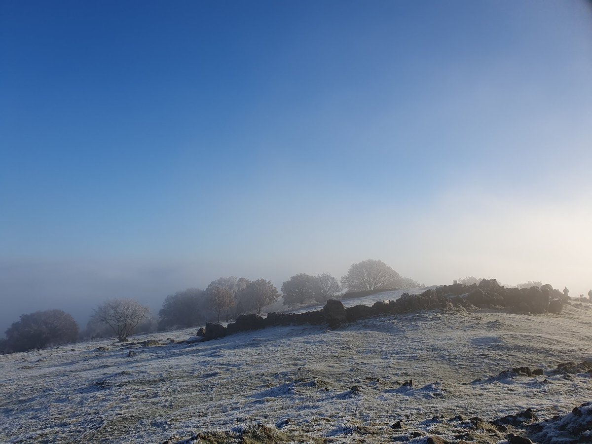 I don't mind admitting leaving the house in a bit of a huff this morning, given the thick foggy conditions, but on arrival at Beacon Hill I was greeted with a wonderful winter wonderland, amazing conditions, an amazing Snow Bunting, and as ever amazing company. @LandRbirds