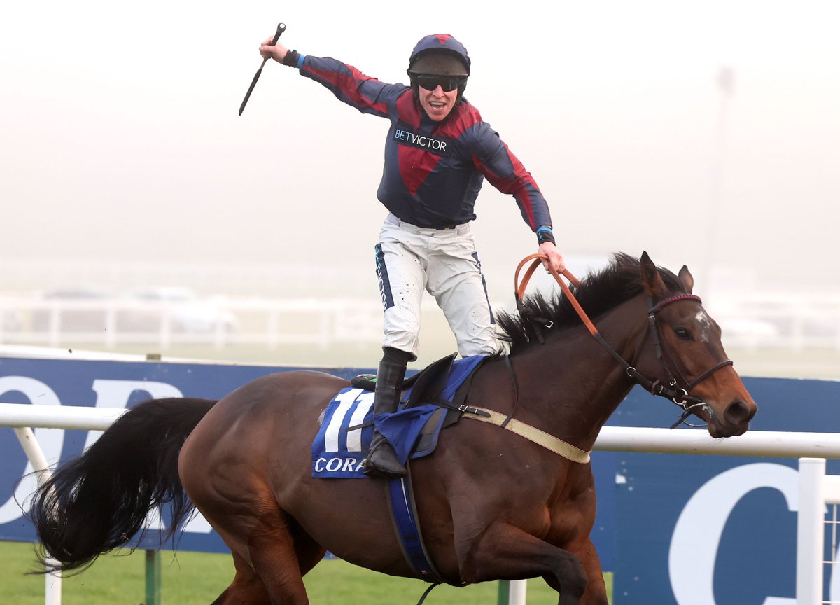 GavinSheehan92's tweet image. Winning the Coral Gold Cup - a day I’ll never forget. Massive thank you to @jamiesnowden, the team at Folly House and of course Datsalrightgino and his owners. 

#whataday #coralgoldcup #newburyraces #newbury #winner #jockeylife #amazingday @BetVictor