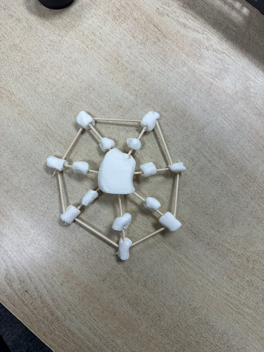During learning commons, Ss participated in a STEM challenge where they built snowflakes out of marshmallows and toothpicks. They turned out so cute &amp; the grade 4s loved it!❄️🤍