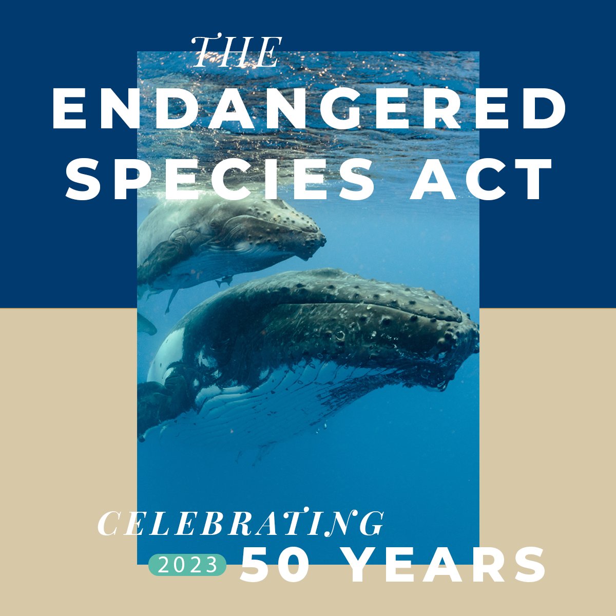 Endangered Species Act Esa Logo Oregon Coalition To Save Endangered