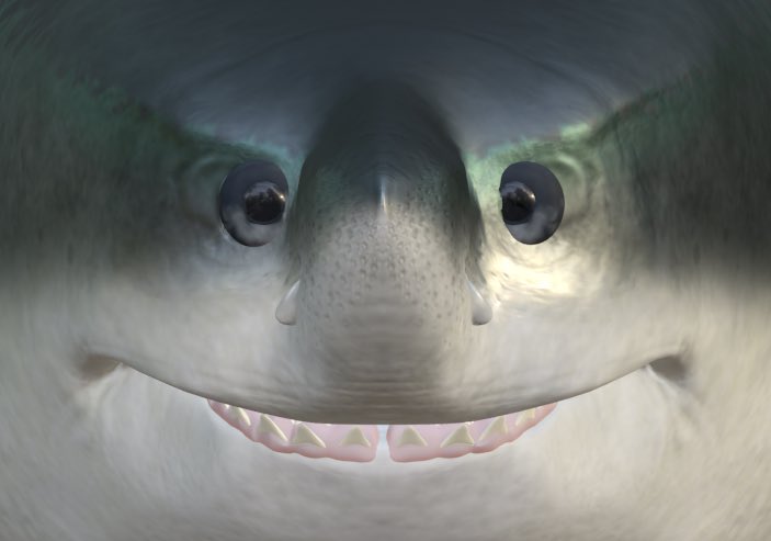 Therapist: Binocular vision megalodon isn’t real She can’t hurt you Binocular vision megalodon: