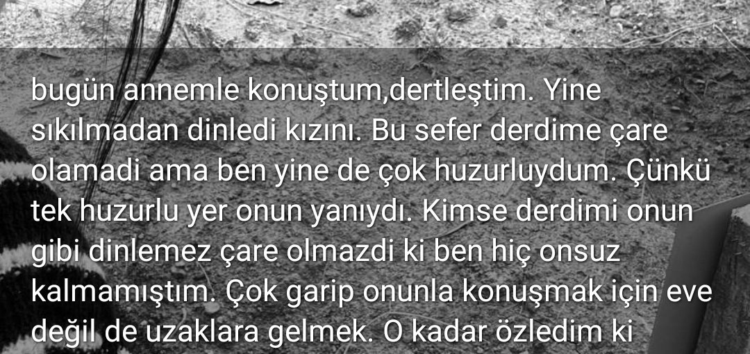 18 yaşında ki yeğenimin sözleri bunlar..  İşte bu yüzden ölümsüz olmalı anneler.