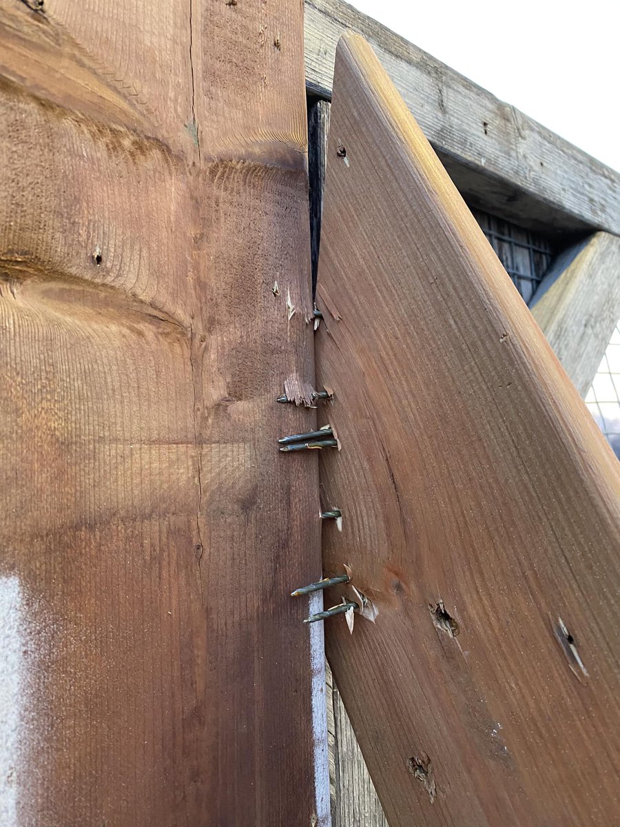 NosArtisansODT's tweet image. #nosartisansontdutalent 
la #renovation par une #entreprise #RGE ...
on va se faire #plaisir !!! 
et n&apos;oubliez pas demain &quot;le #dimanche on #debranche&quot;