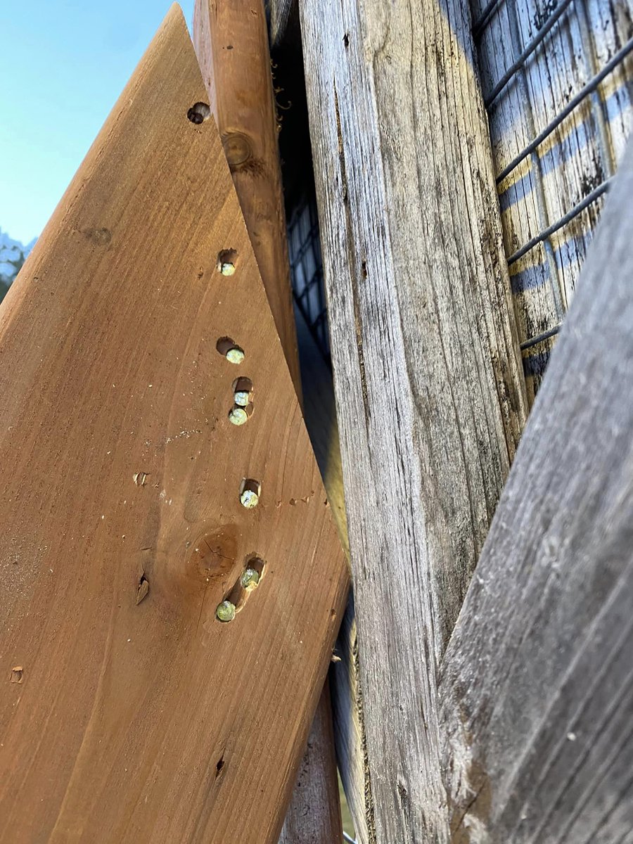 NosArtisansODT's tweet image. #nosartisansontdutalent 
la #renovation par une #entreprise #RGE ...
on va se faire #plaisir !!! 
et n&apos;oubliez pas demain &quot;le #dimanche on #debranche&quot;